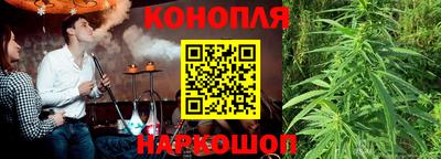 гидра Пыть-Ях