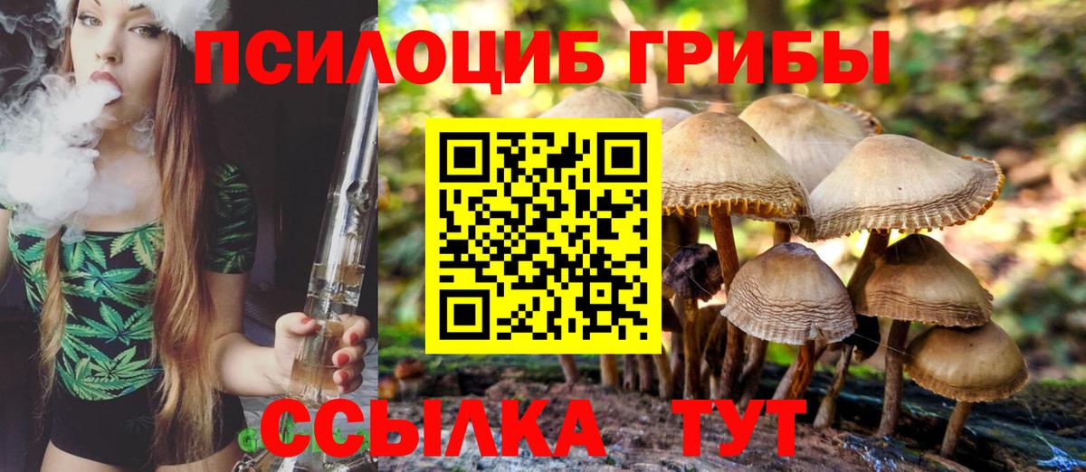 Псилоцибиновые грибы мухоморы  Псилоцибиновые грибы мицелий  Орёл  Вход с VPN 