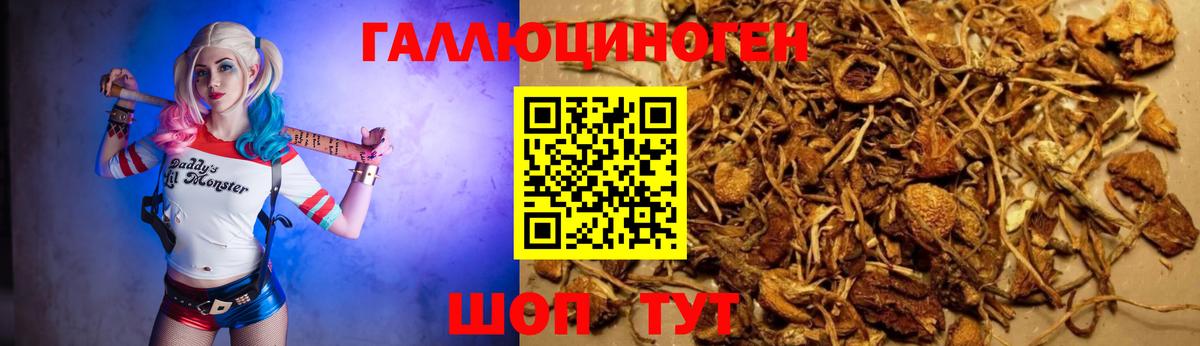 Псилоцибиновые грибы мицелий Орёл